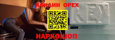индика Можга