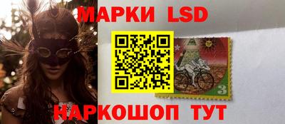 индика Можга