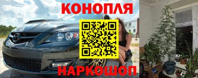 индика Можга