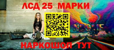 индика Можга