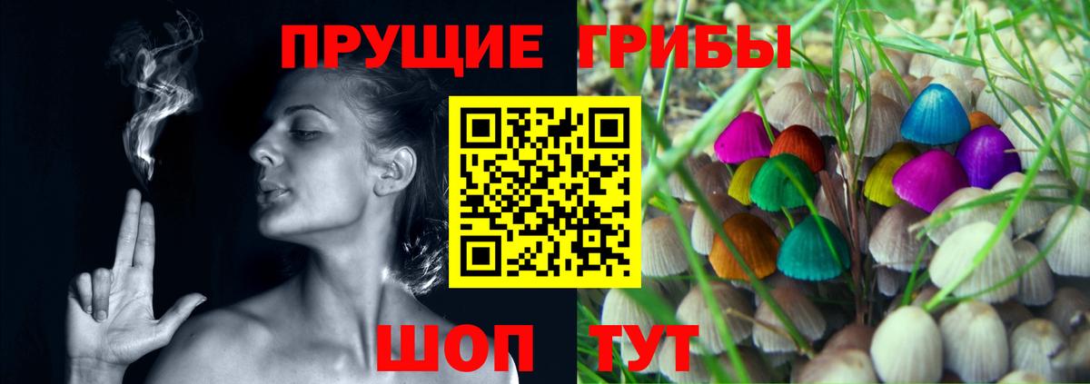 Галлюциногенные грибы Psilocybine cubensis Усть-Джегута